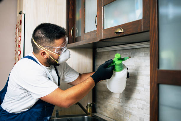 Best Affordable Pest Control Services  in Walnut Hill, TN