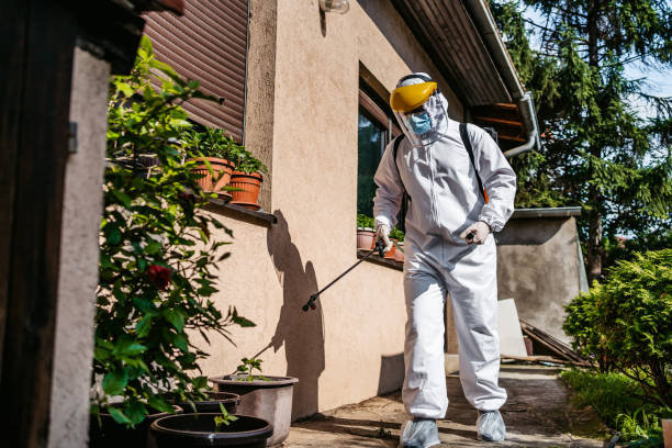 Best Exterminator Services  in Walnut Hill, TN