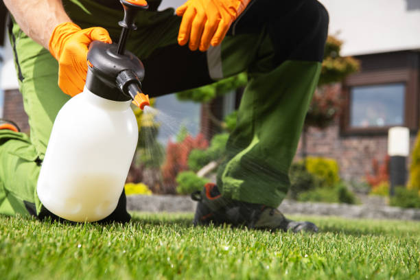 Pest Prevention Services in Walnut Hill, TN